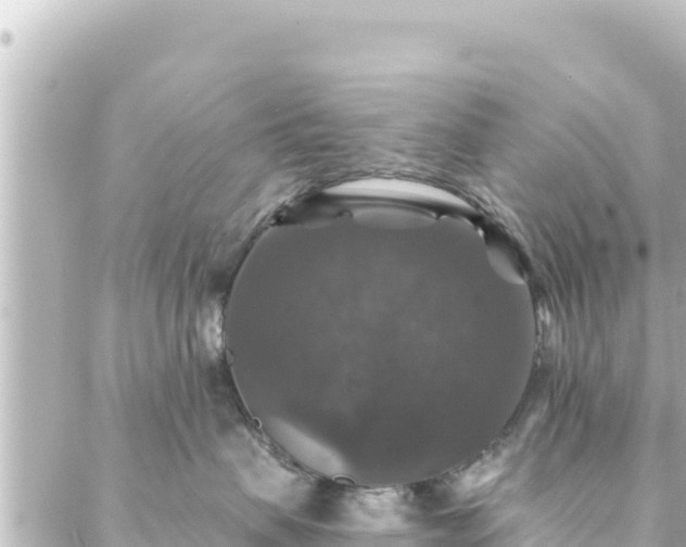 X0000088430479200705291529