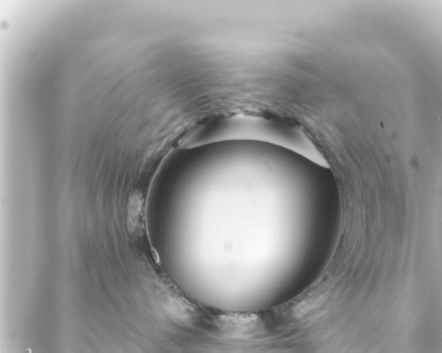 X0000088430480200705291529