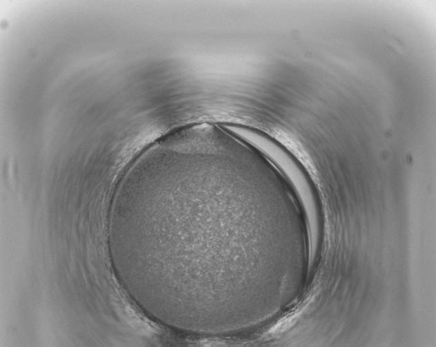 X0000088430481200705291529