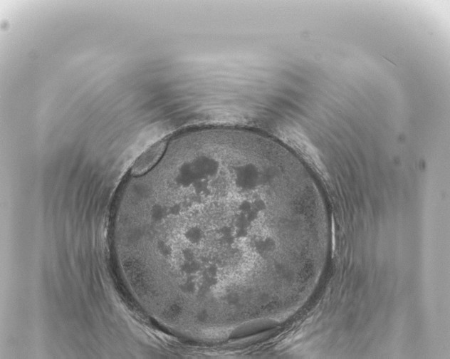 X0000088430483200705291529