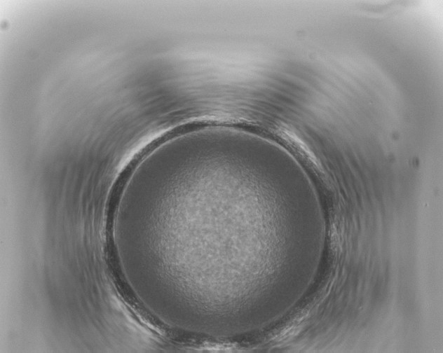 X0000088430484200705291529