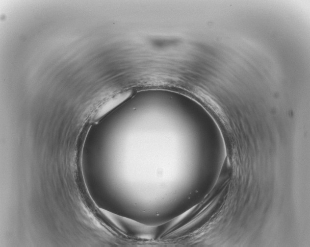 X0000088430485200705291529