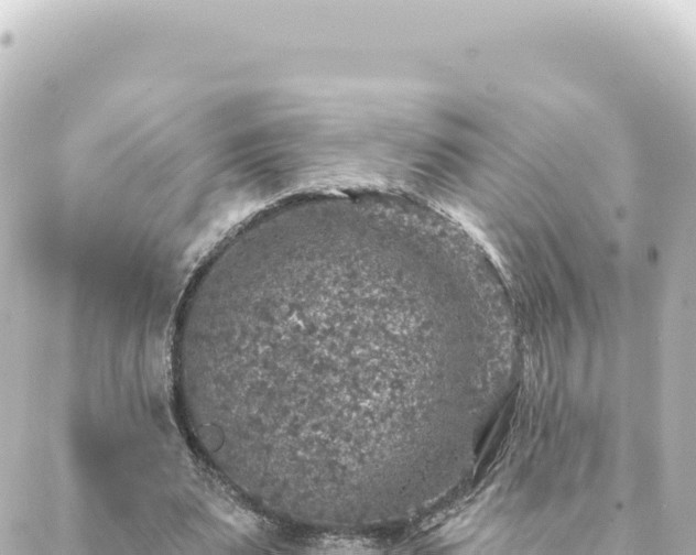 X0000088430487200705291529