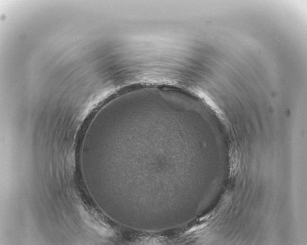 X0000088430488200705291529