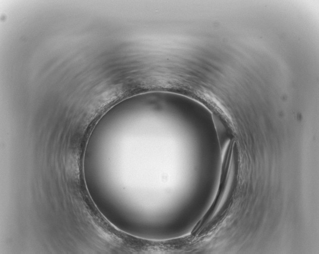 X0000088430489200705291529