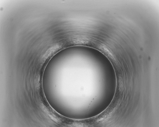 X0000088430490200705291528