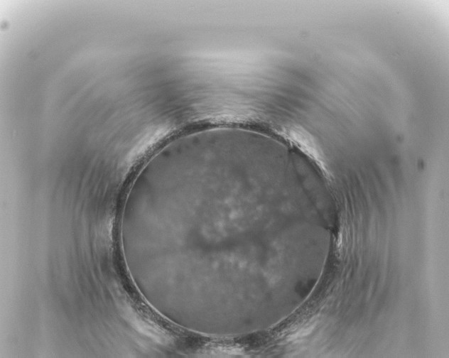 X0000088430491200705291528