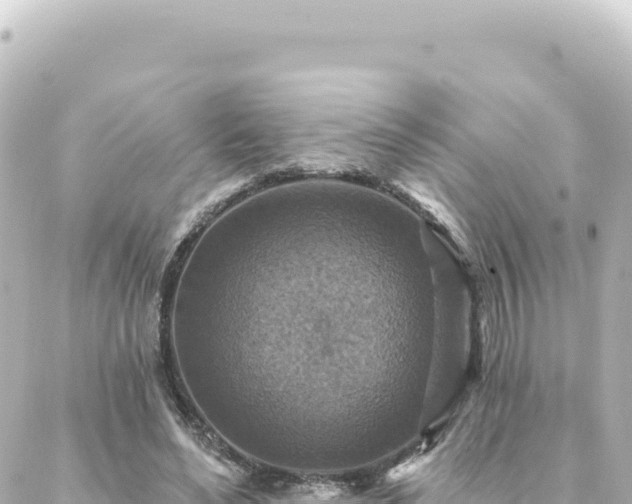 X0000088430492200705291528