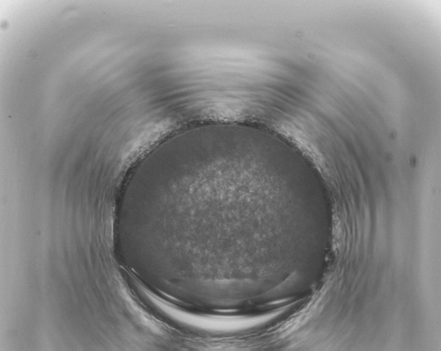 X0000088430493200705291528