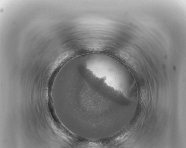 X0000088430494200705291528