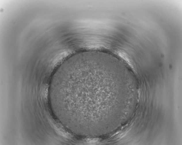 X0000088430495200705291528