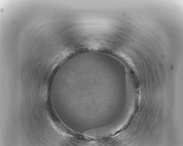 X0000088430496200705291528