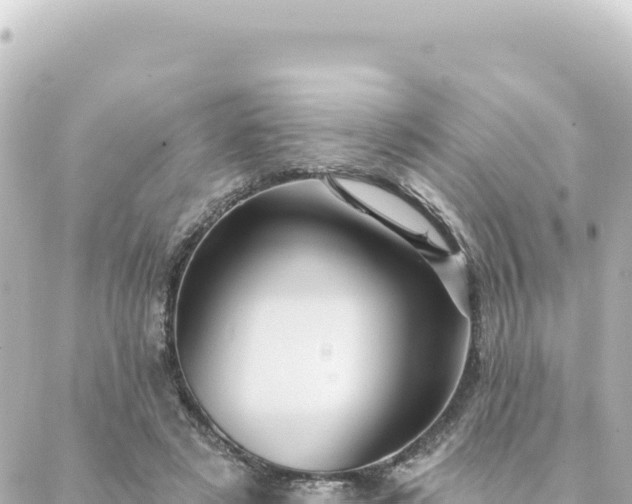 X0000088430497200705291528