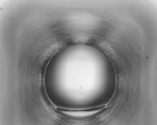 X0000088430498200705291528