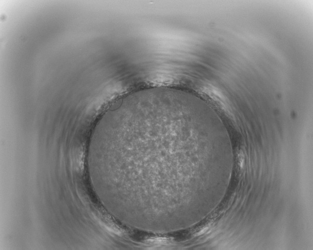 X0000088430499200705291528