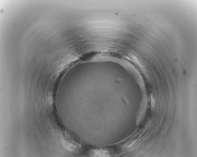 X0000088430500200705291528