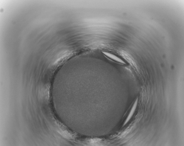 X0000088430501200705291528