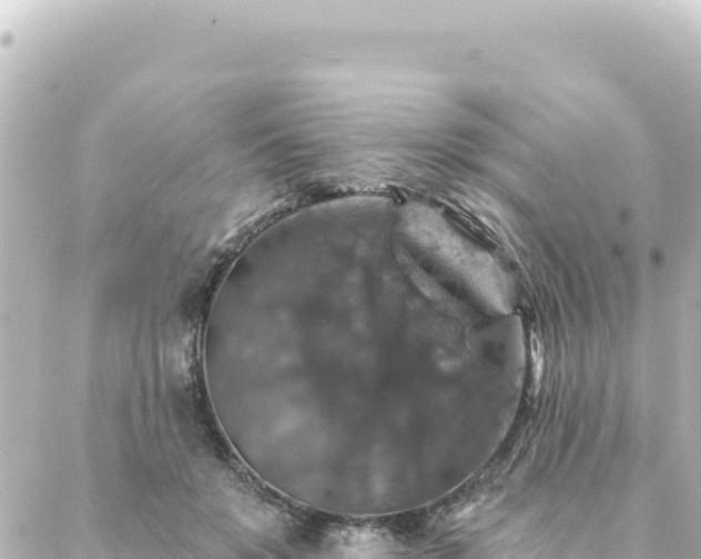 X0000088430503200705291528