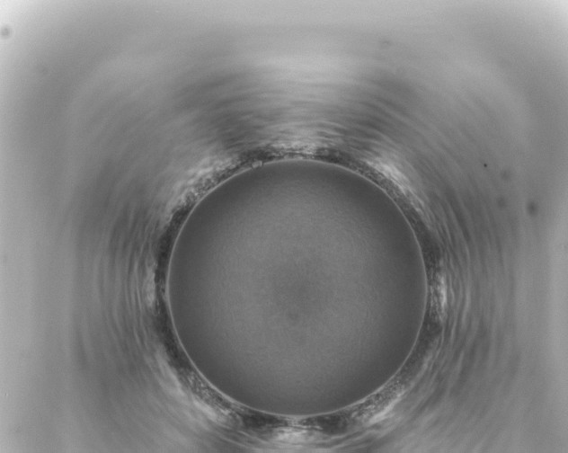 X0000088430504200705291528