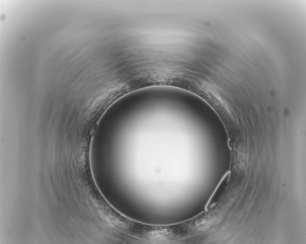 X0000088430505200705291528