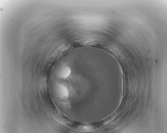 X0000088430506200705291528