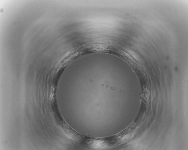 X0000088430507200705291528