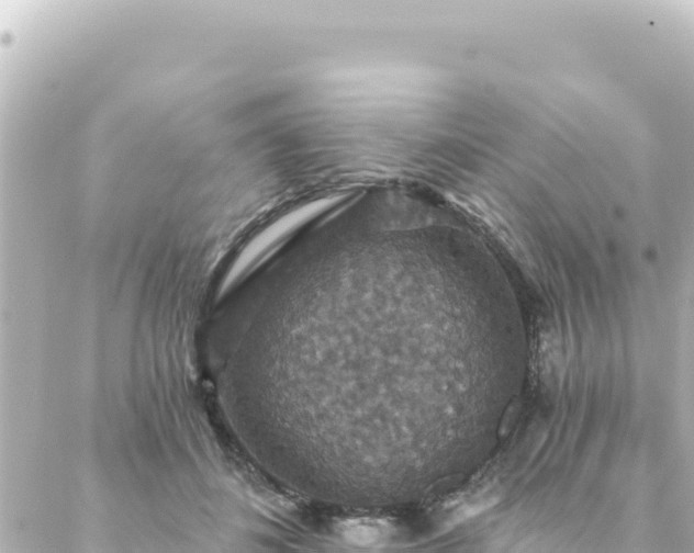 X0000088430508200705291528