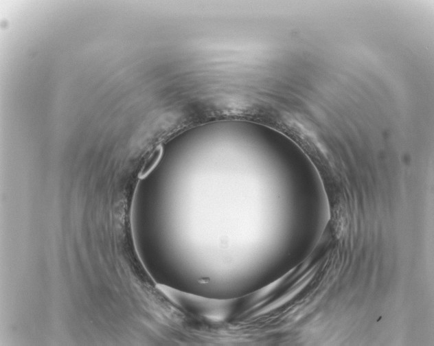 X0000088430509200705291528