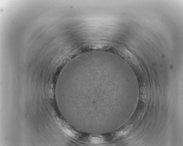 X0000088430510200705291528