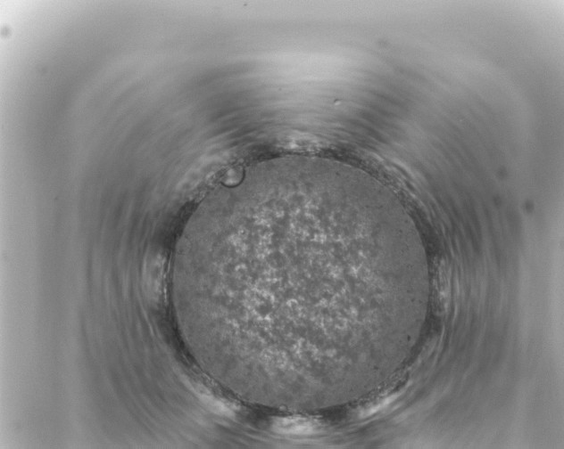 X0000088430511200705291528