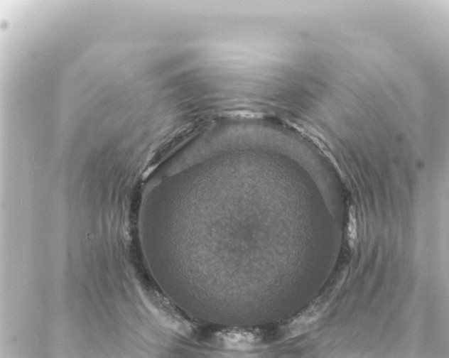 X0000088430512200705291528