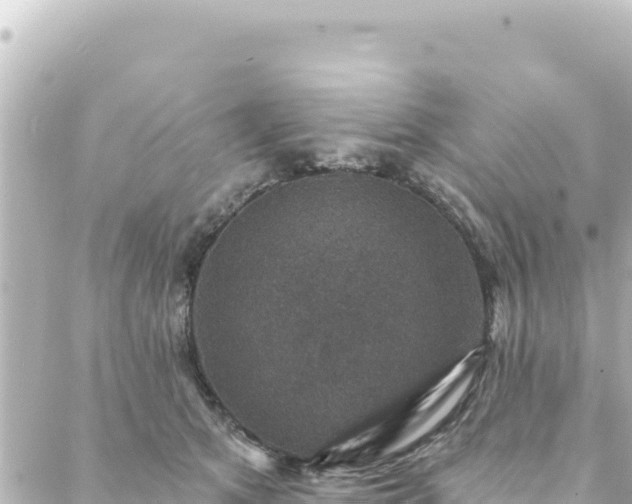 X0000088430513200705291528