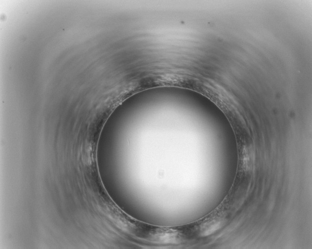 X0000088430514200705291528