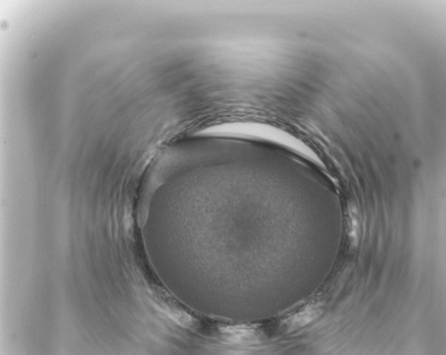 X0000088430516200705291528