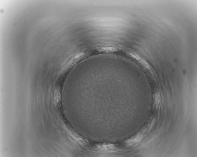 X0000088430517200705291528