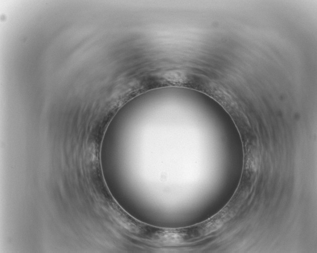 X0000088430518200705291528