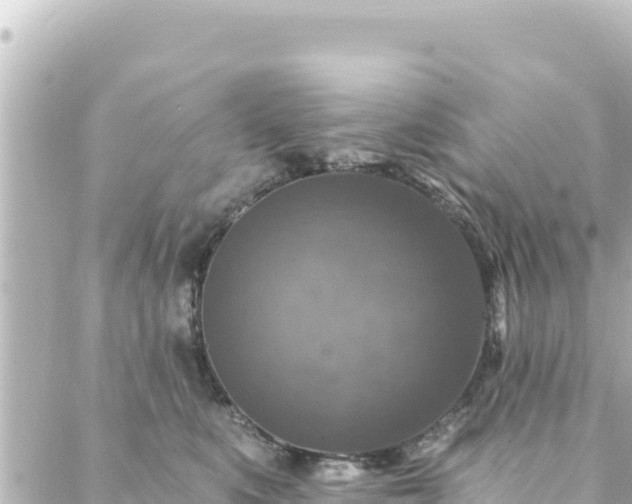 X0000088430519200705291528