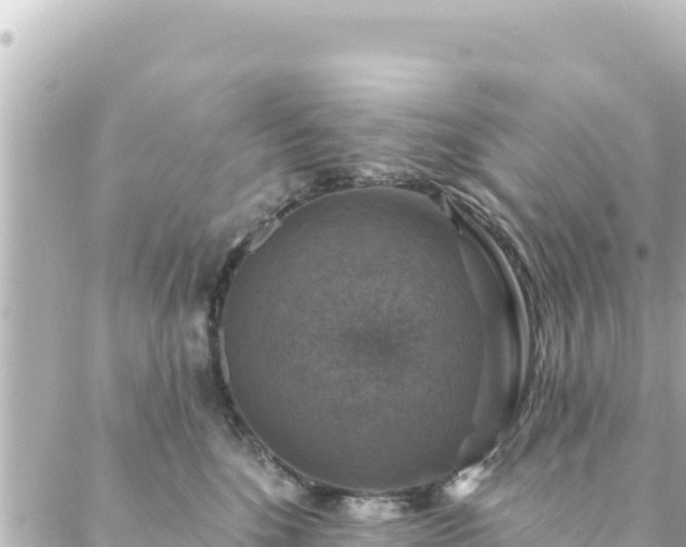 X0000088430520200705291528