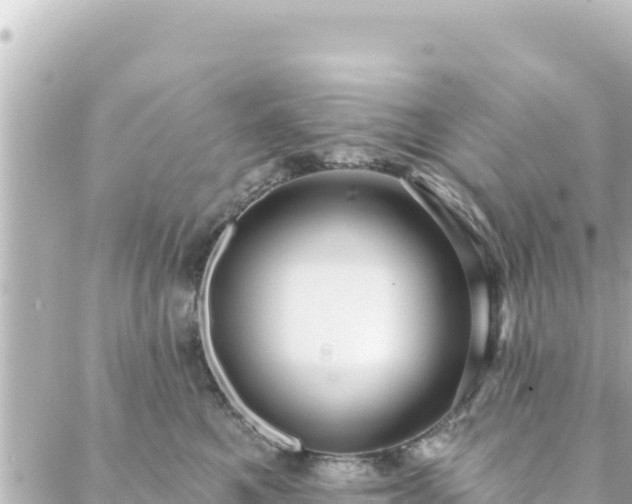 X0000088430521200705291528