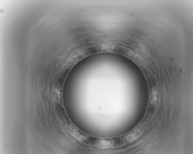 X0000088430522200705291528