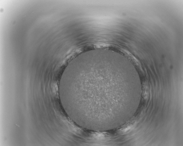 X0000088430523200705291528