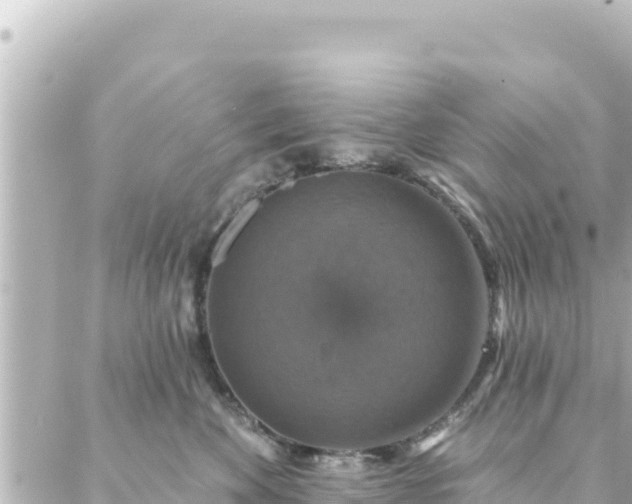 X0000088430524200705291528