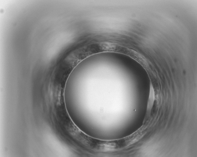 X0000088430525200705291528