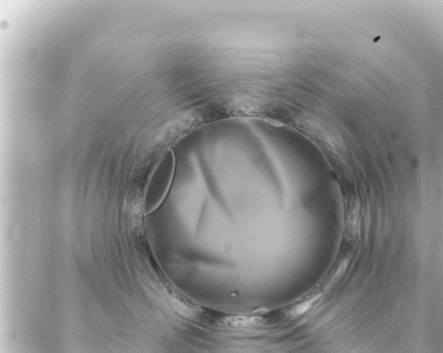 X0000088430526200705291528