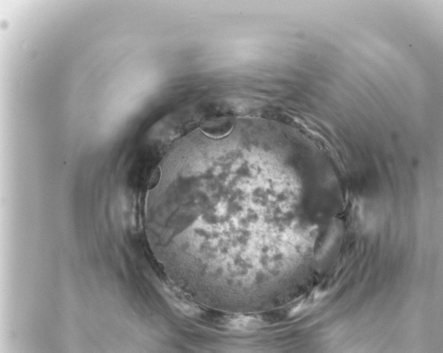 X0000088430527200705291528