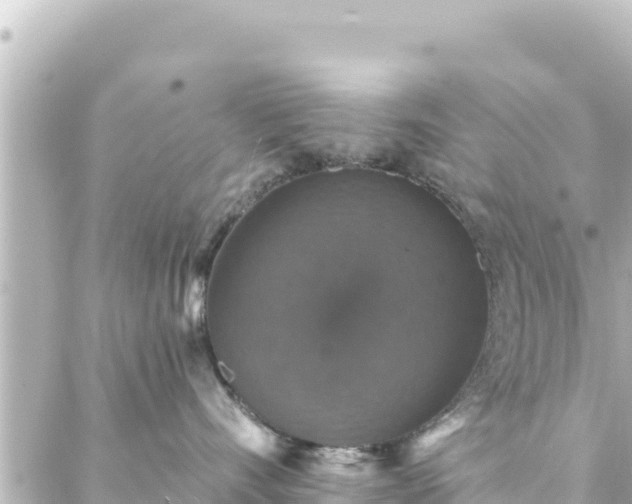 X0000088430528200705291528