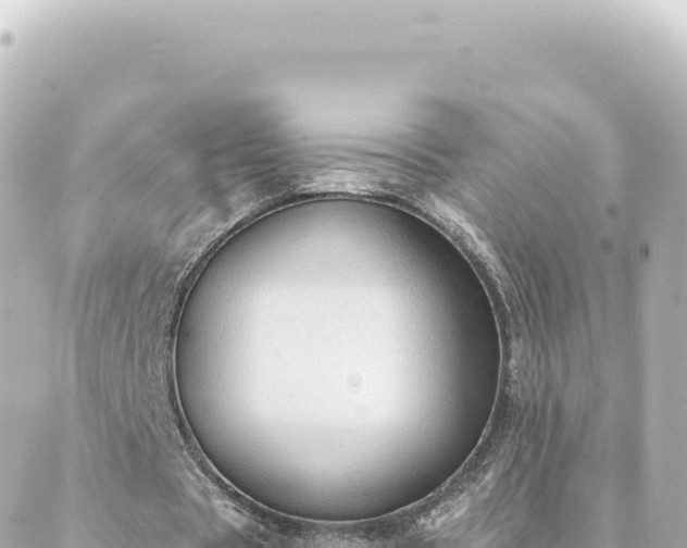 X0000088430529200705291527