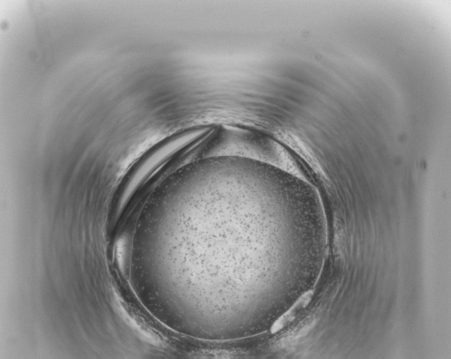 X0000088430530200705291527