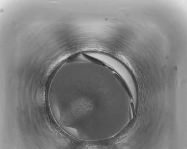 X0000088430531200705291527