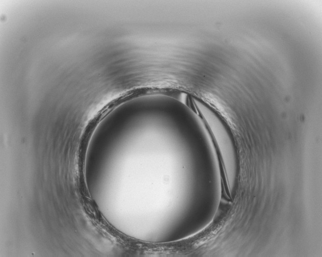 X0000088430532200705291527